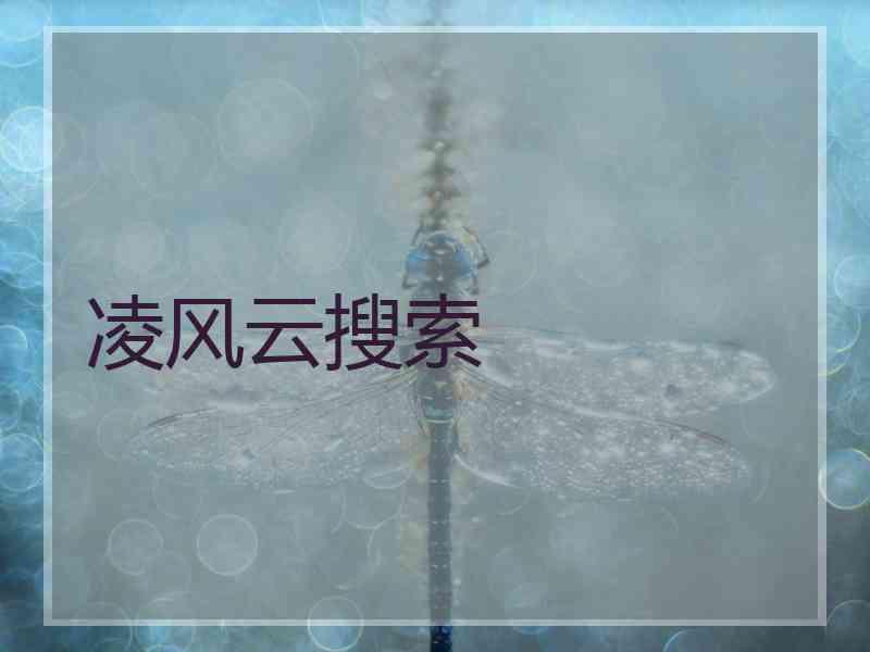 凌风云搜索