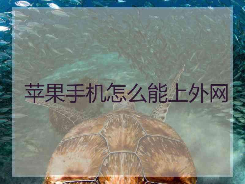 苹果手机怎么能上外网