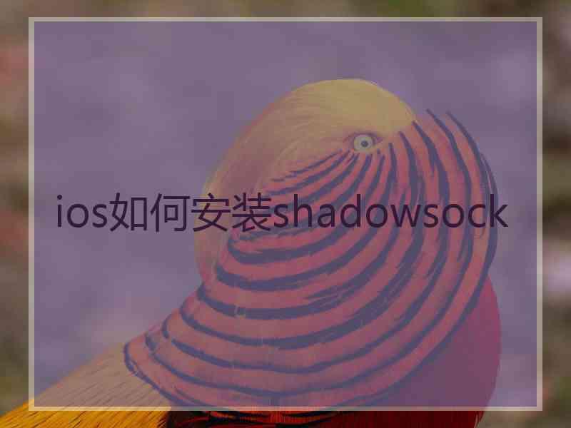 ios如何安装shadowsock