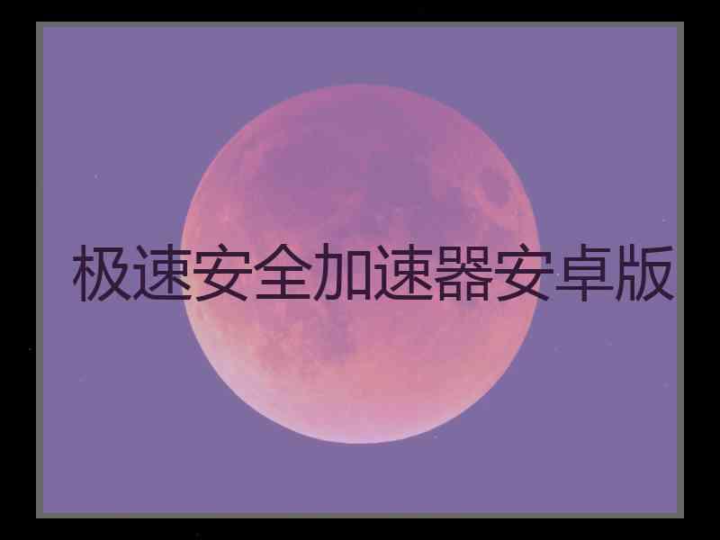 极速安全加速器安卓版
