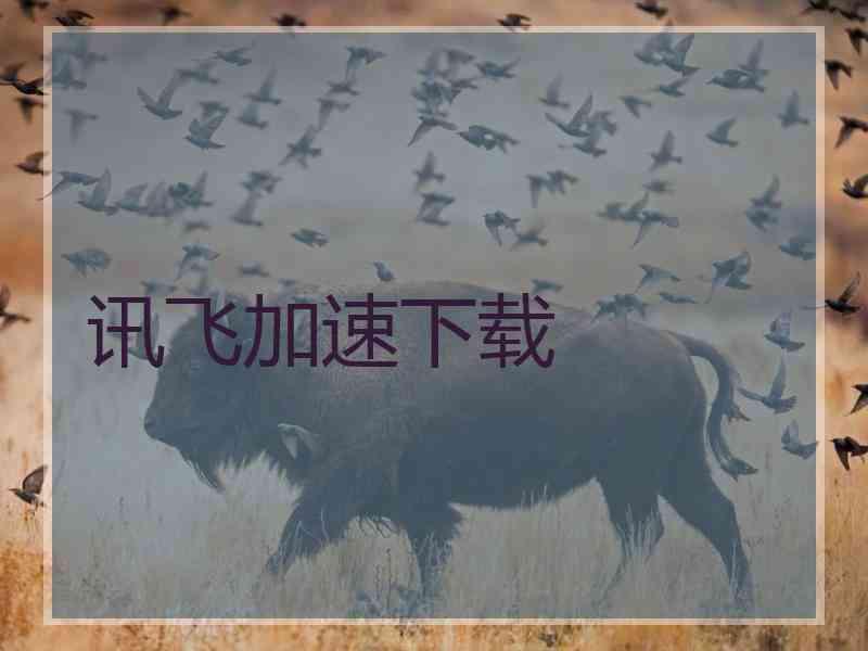 讯飞加速下载