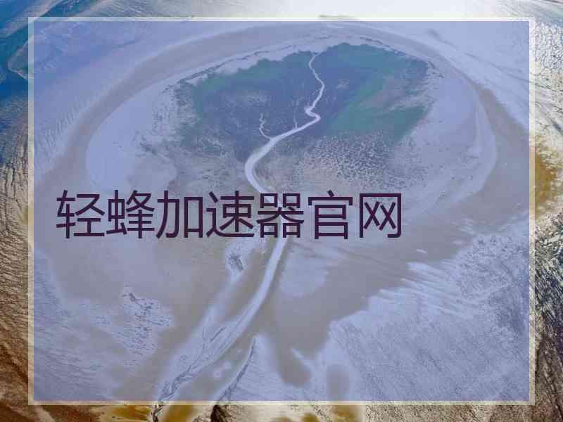 轻蜂加速器官网