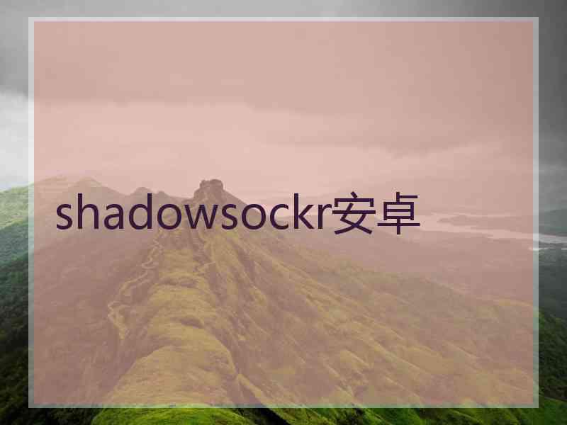 shadowsockr安卓