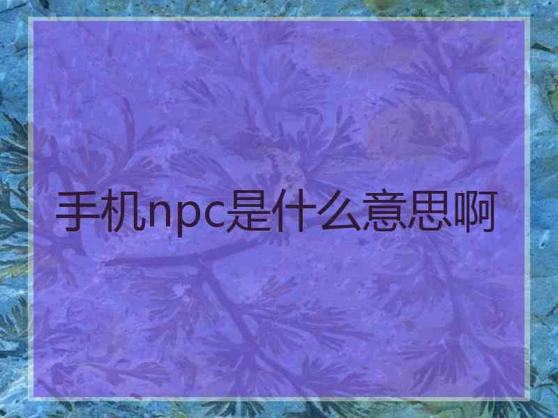 手机npc是什么意思啊