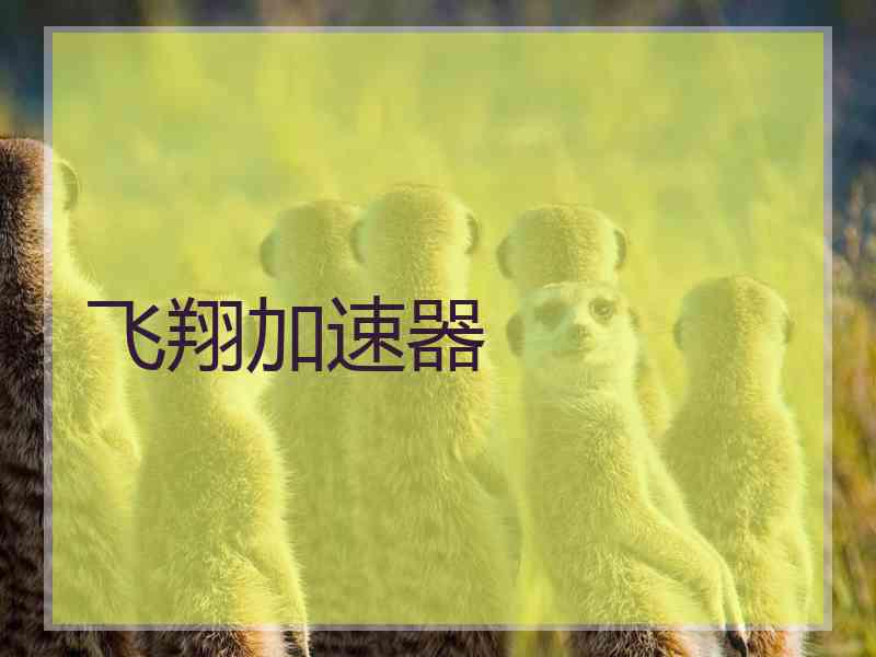飞翔加速器