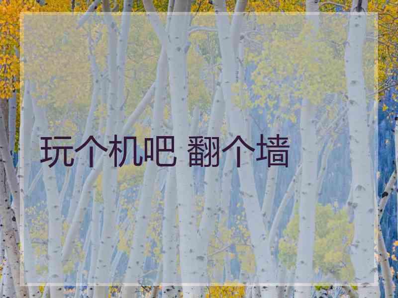 玩个机吧 翻个墙