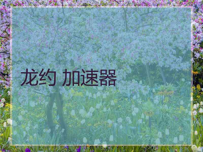 龙约 加速器