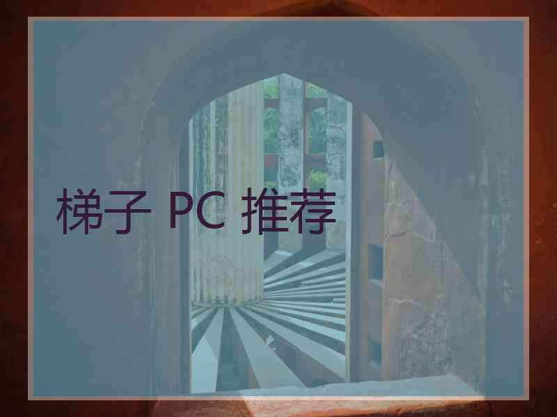 梯子 PC 推荐
