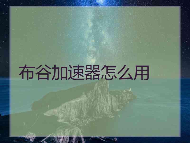布谷加速器怎么用
