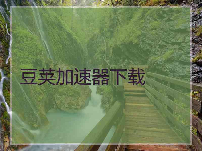 豆荚加速器下载