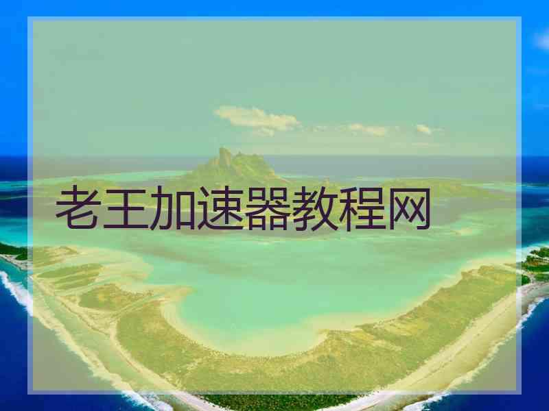 老王加速器教程网