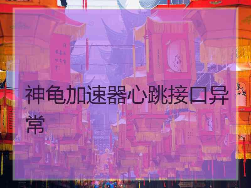 神龟加速器心跳接口异常