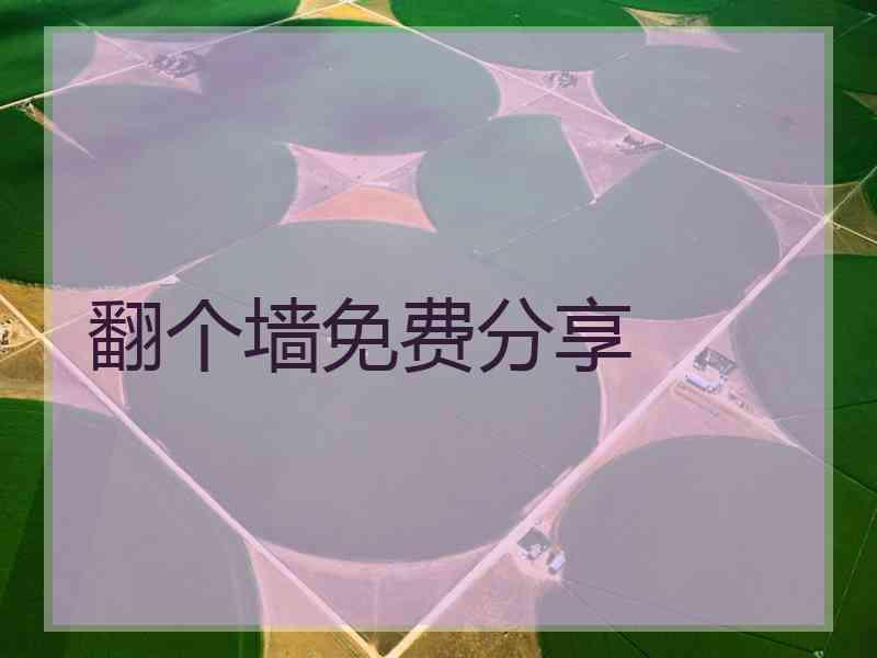 翻个墙免费分享