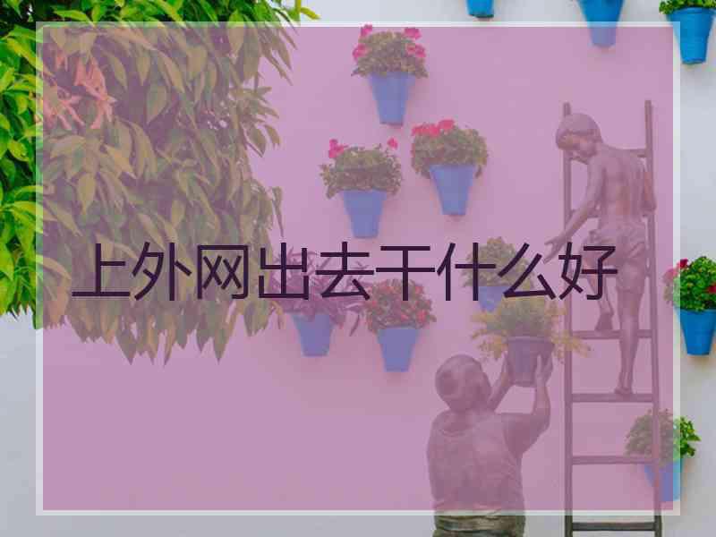 上外网出去干什么好