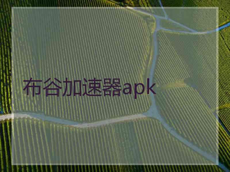 布谷加速器apk