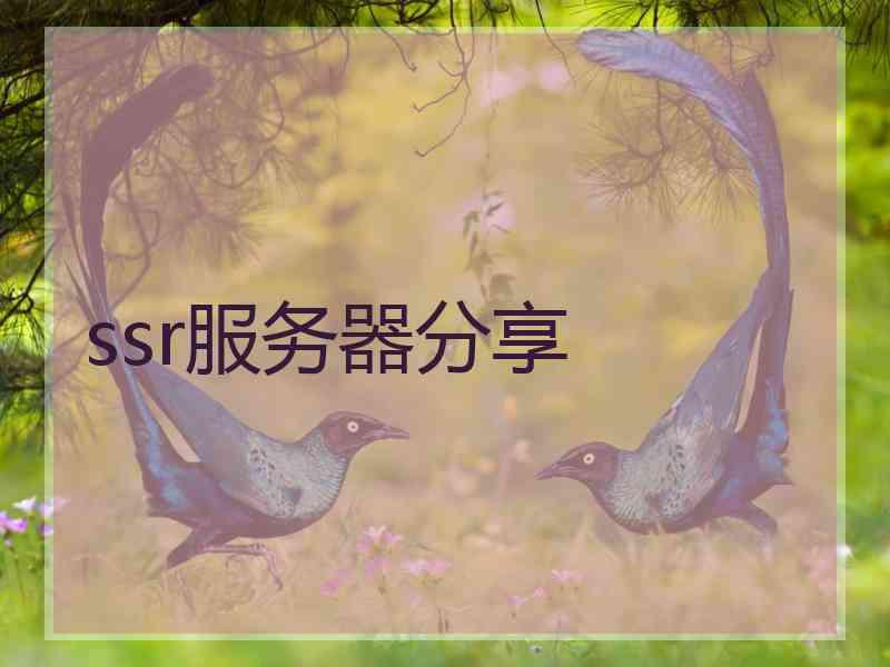 ssr服务器分享