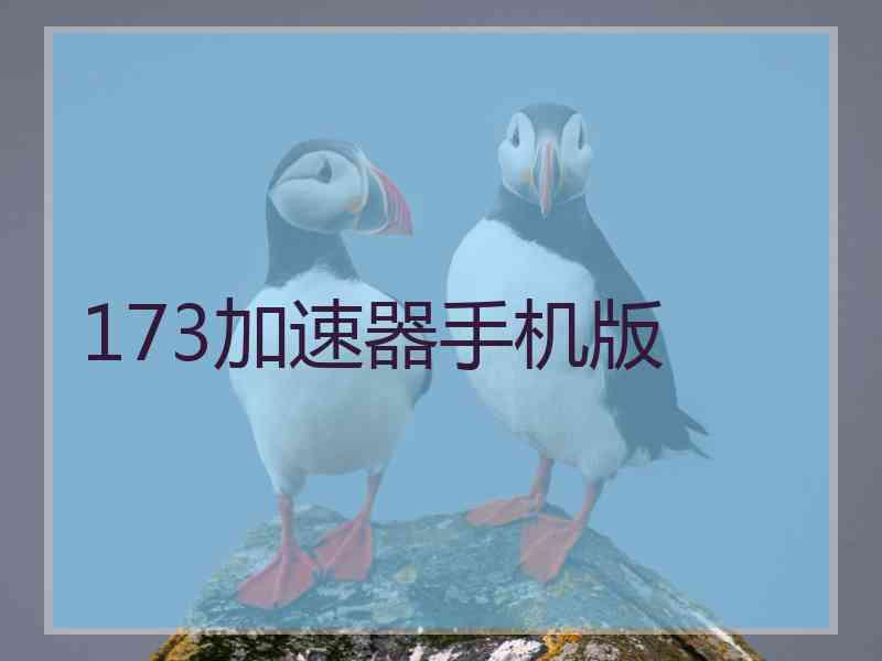 173加速器手机版