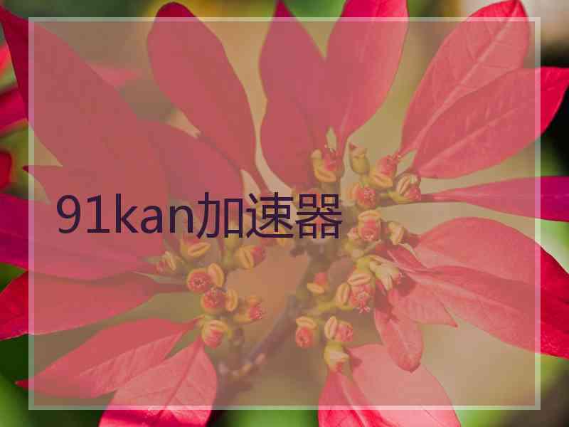 91kan加速器