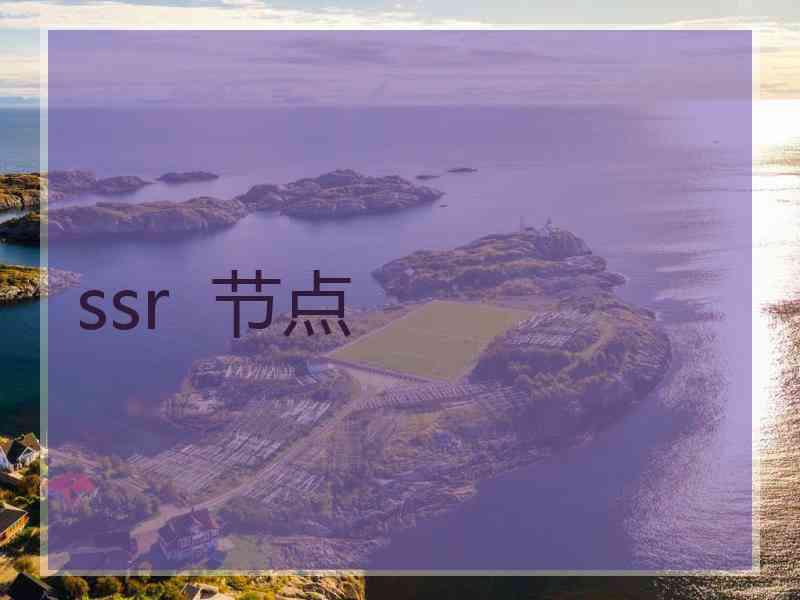 ssr  节点