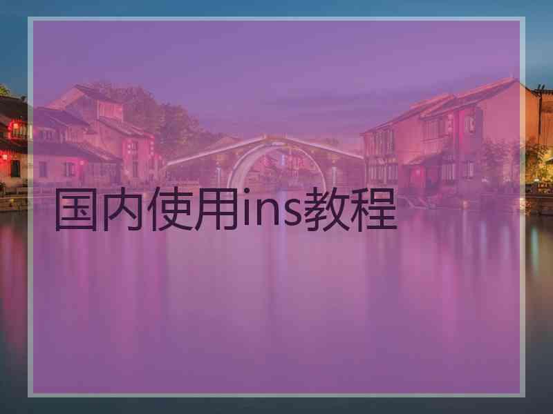 国内使用ins教程