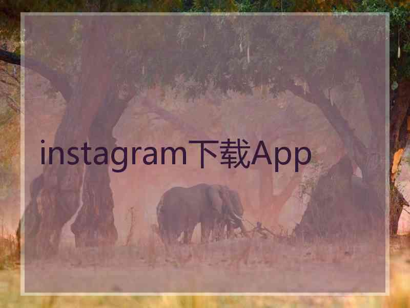 instagram下载App