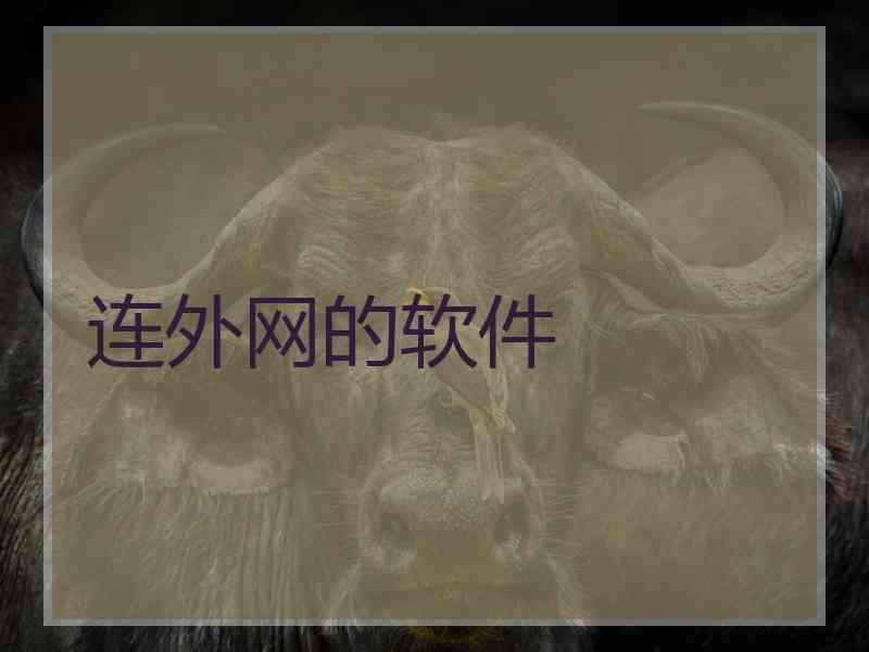 连外网的软件