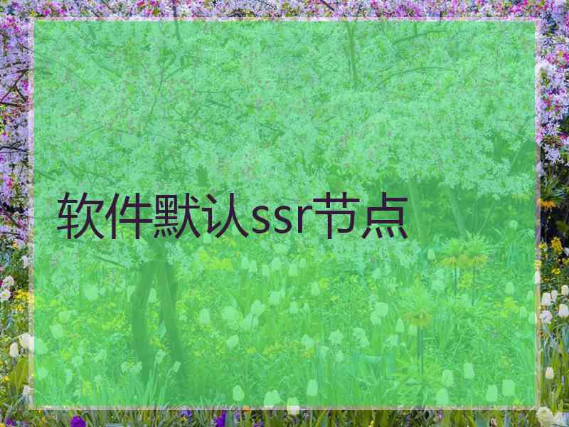 软件默认ssr节点