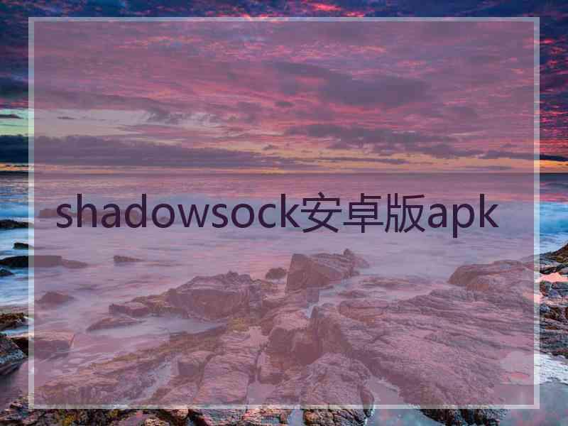 shadowsock安卓版apk