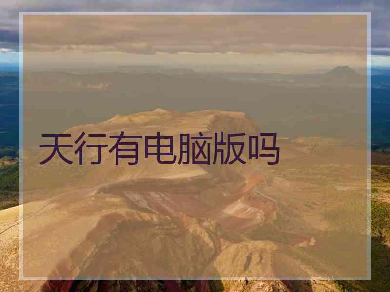 天行有电脑版吗