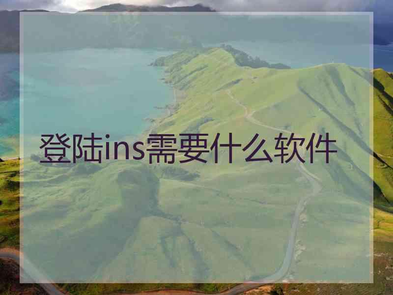 登陆ins需要什么软件