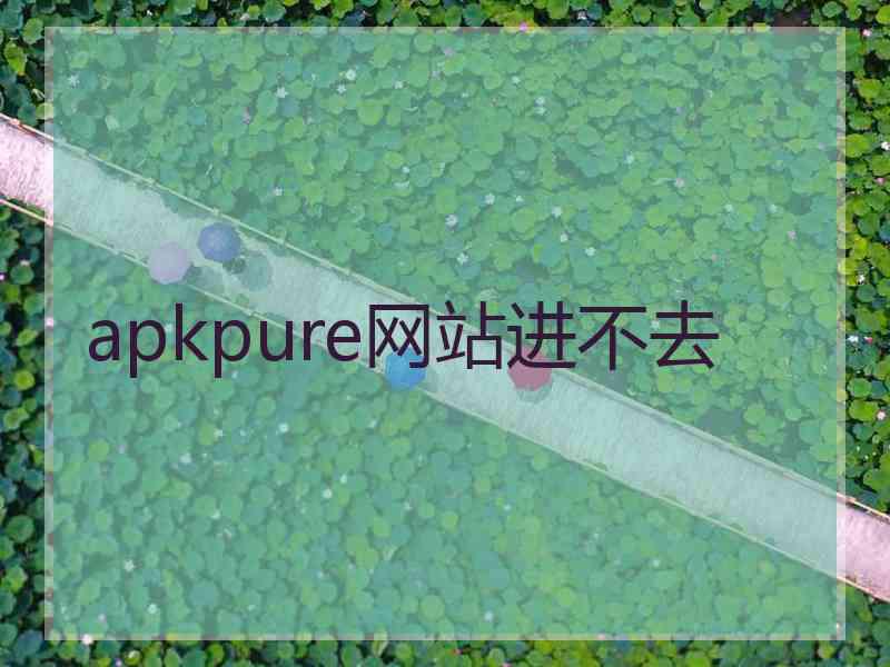 apkpure网站进不去