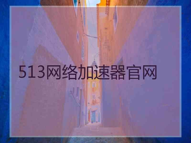513网络加速器官网