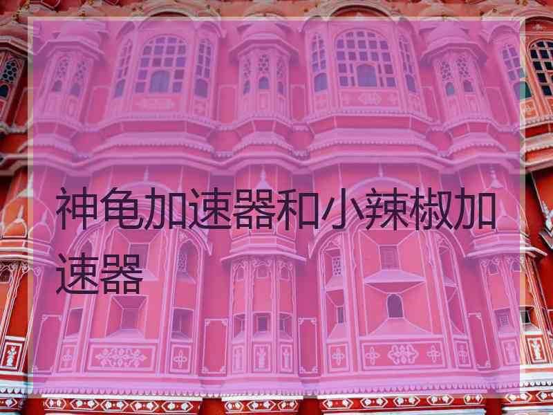 神龟加速器和小辣椒加速器