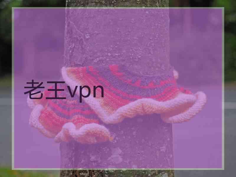 老王vpn