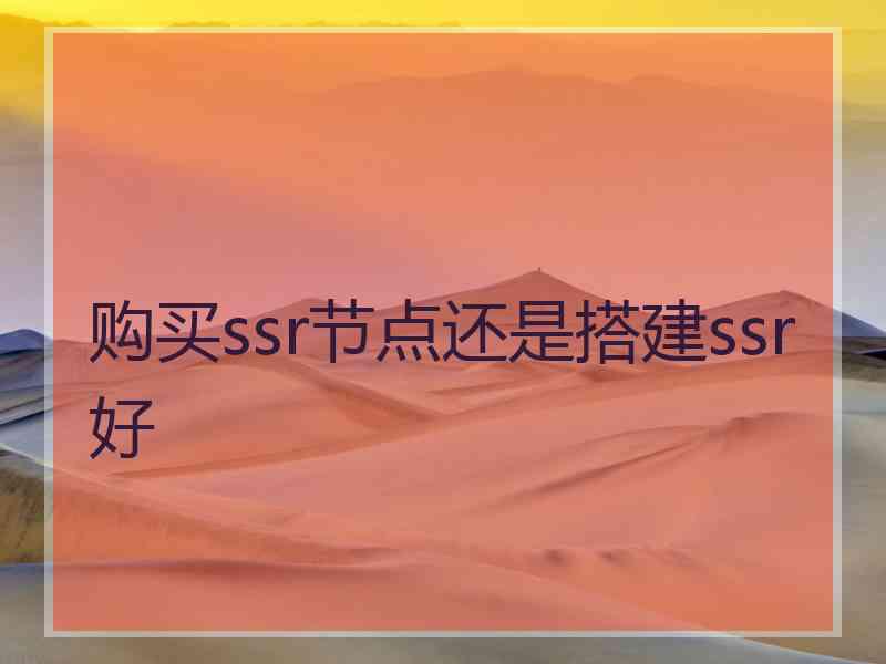 购买ssr节点还是搭建ssr好