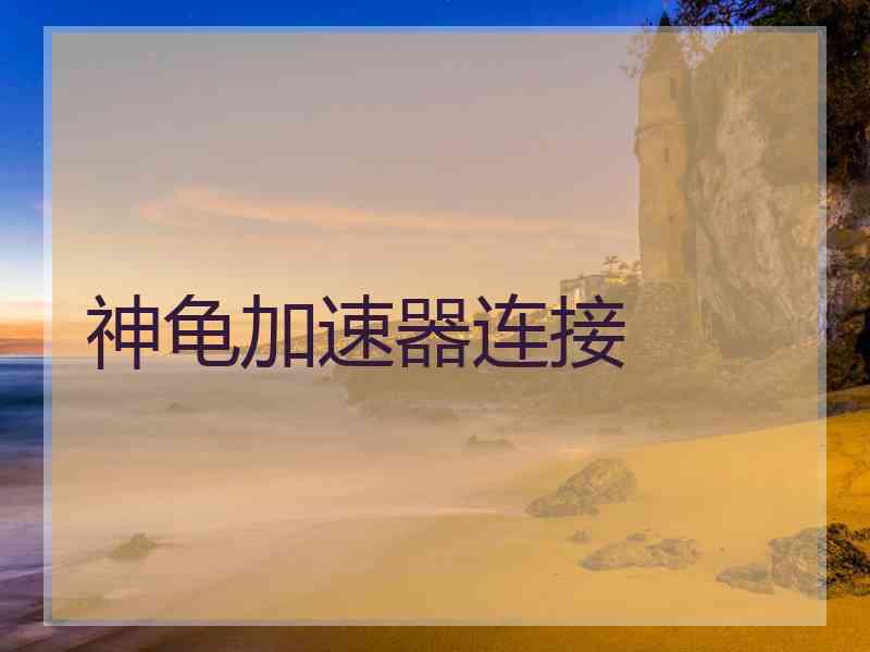 神龟加速器连接
