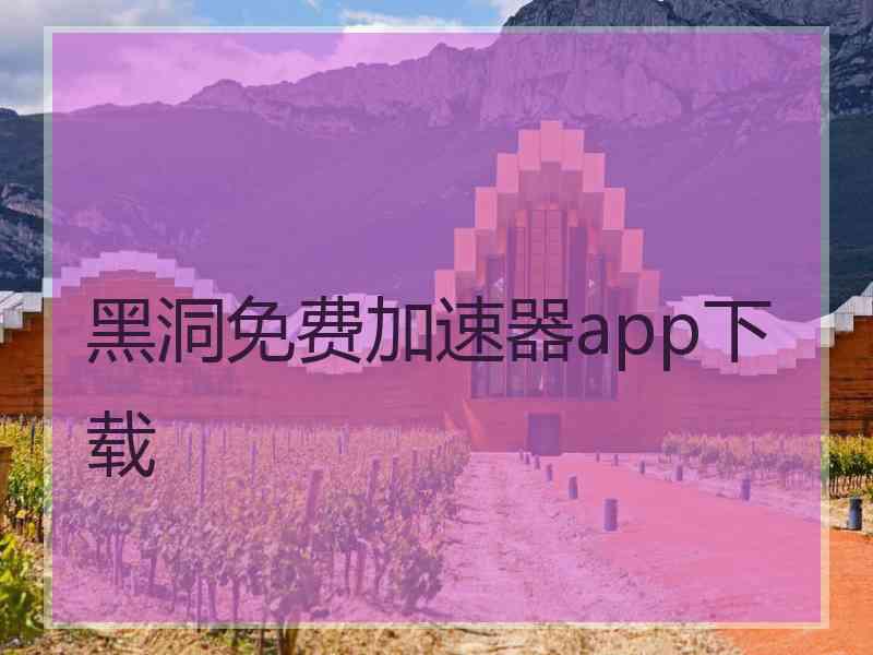 黑洞免费加速器app下载