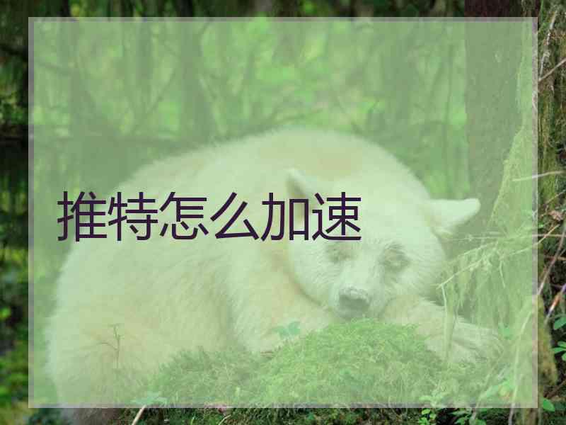推特怎么加速