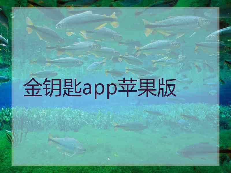 金钥匙app苹果版