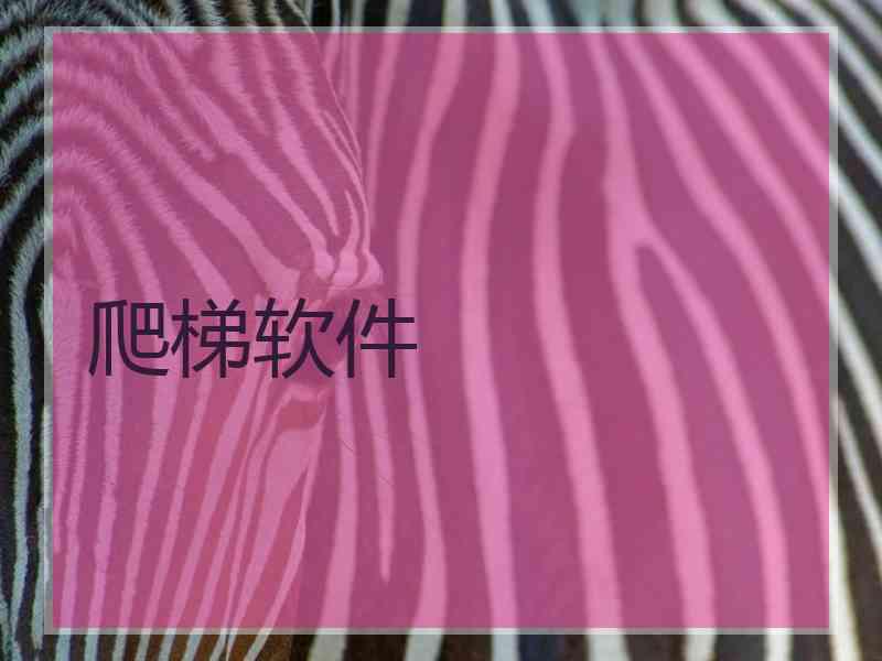 爬梯软件