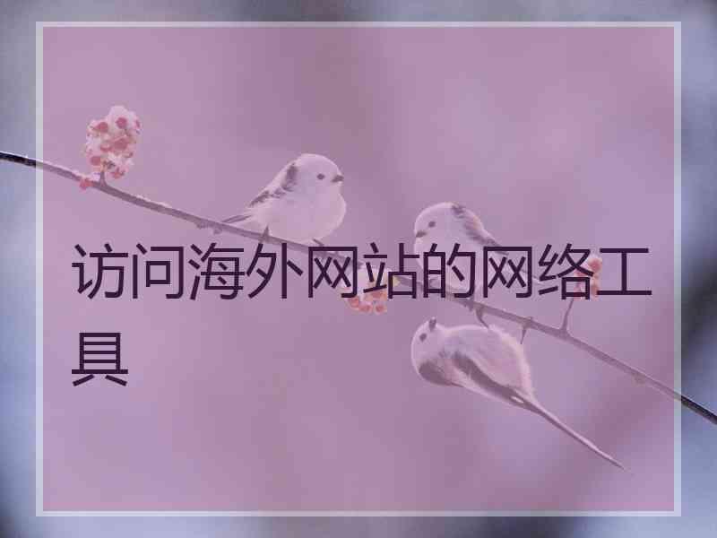 访问海外网站的网络工具