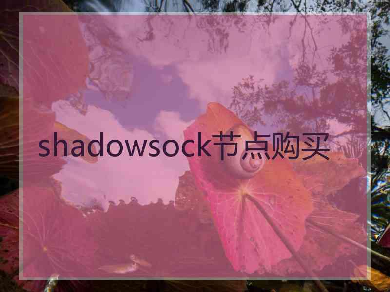 shadowsock节点购买