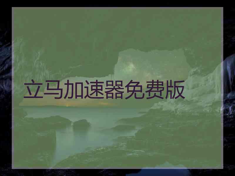 立马加速器免费版