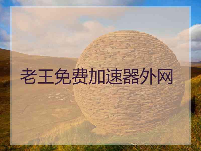 老王免费加速器外网