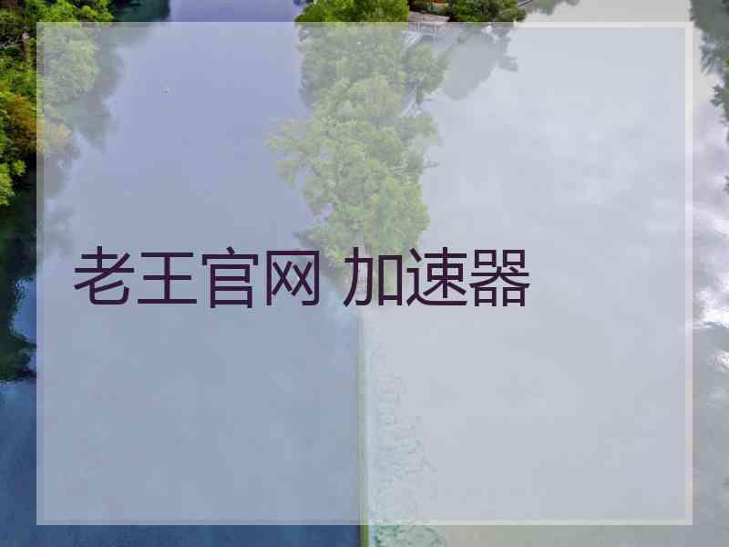 老王官网 加速器