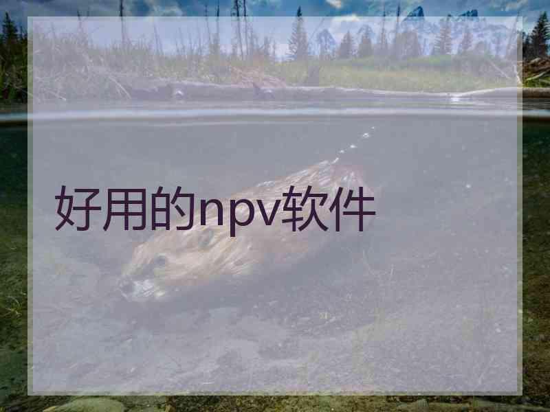 好用的npv软件