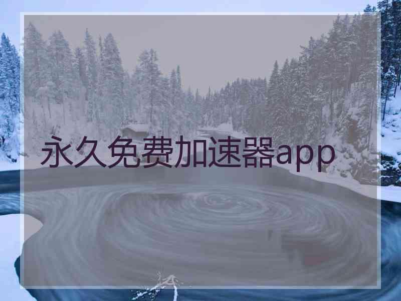 永久免费加速器app