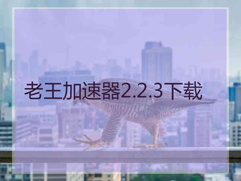 老王加速器2.2.3下载