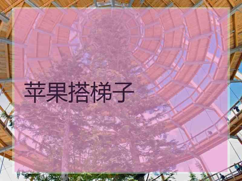 苹果搭梯子