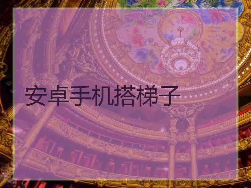 安卓手机搭梯子